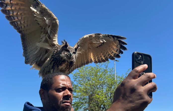  owl with his wings open over a man's head